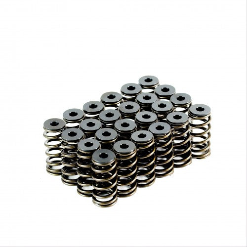 Ford Barra XR6 Spring Kit - VTKBA6T-24