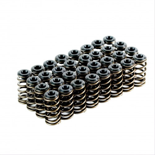 Ford BA XR8 Valve Spring Kit - VTKBAXR8-32