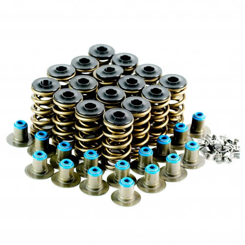 LS Dual Valve Spring Kit - VTKLS8