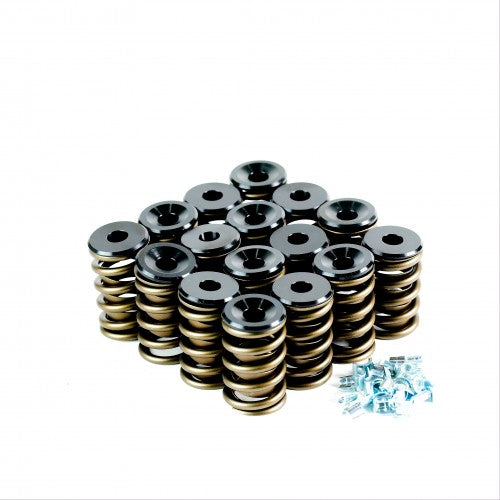 Ford Windsor EB-AUII EFI Valve Spring Kit - VTKXR8