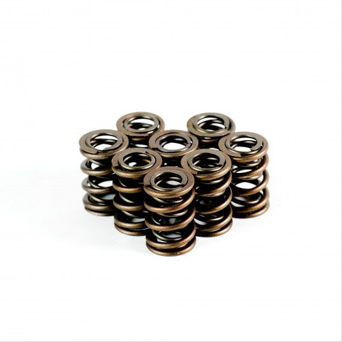 Dual Race Springs - Set of 8 - 2836-8