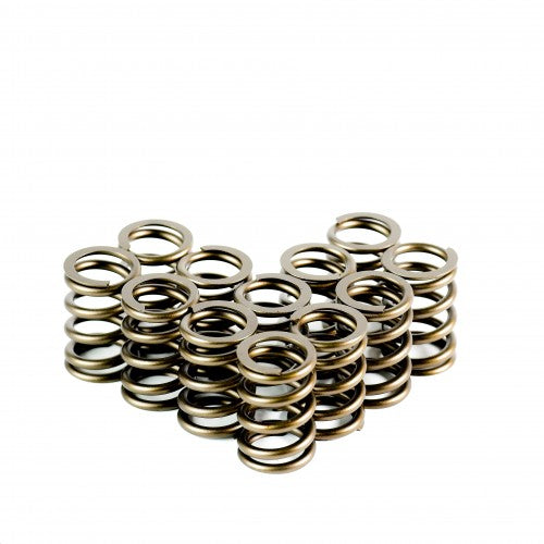 Heavy Duty Single Valve Springs - 4038-12 Heavy Duty Single Valve Springs - Set of 12 - 4038-12