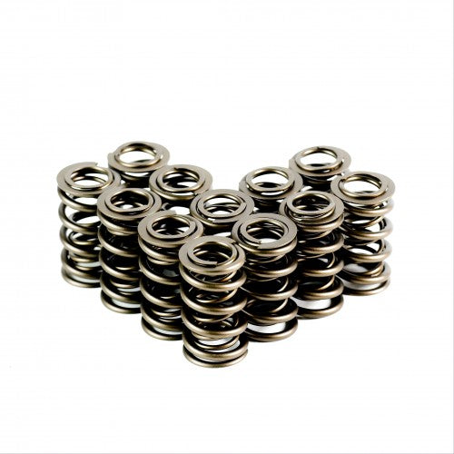 Dual Valve Springs - Set of 12 - 4334-12