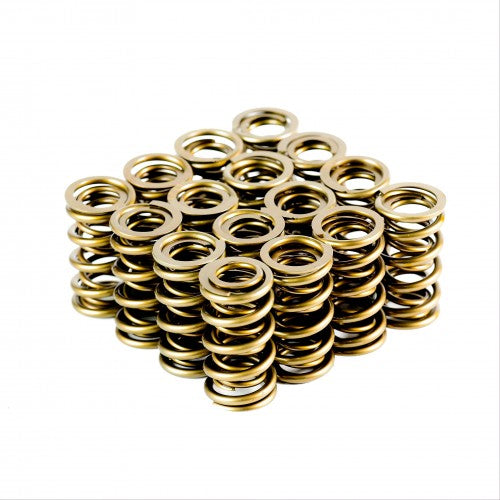 Dual Valve Springs - 4438-16 Dual Valve Springs - Set of 16 - 4438-16