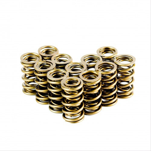 Dual Valve Springs - 4438-12 Dual Valve Springs - Set of 12 - 4438-12