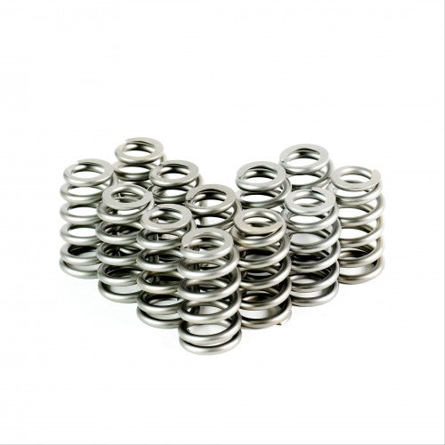 Ecotec PAC Conical Valve Springs - Set of 12 - 4511X-12