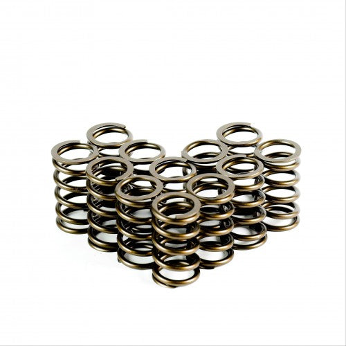Heavy Duty Single Valve Springs - 4719-12 Single Valve Springs - Set of 12 - 4719-12