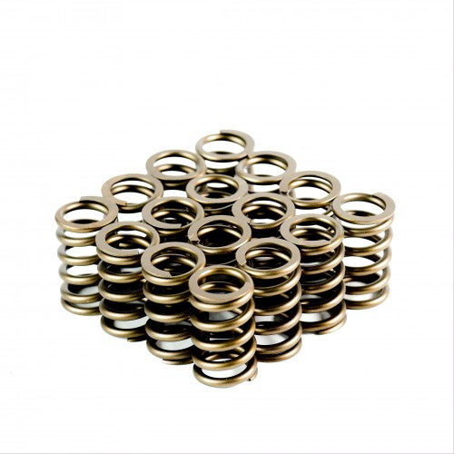 Heavy Duty Single Valve Springs - Set of 16 - 4828-16