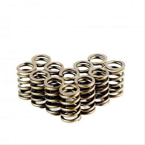 Single Valve Springs - Set of 12 - 4828-12