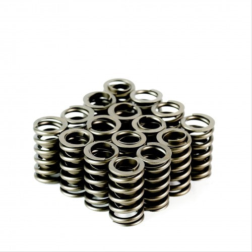 Single Valve Springs with Damper - Set of 16 - 4845-16