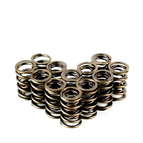 Dual Valve Springs - Set of 12 - 7332-12
