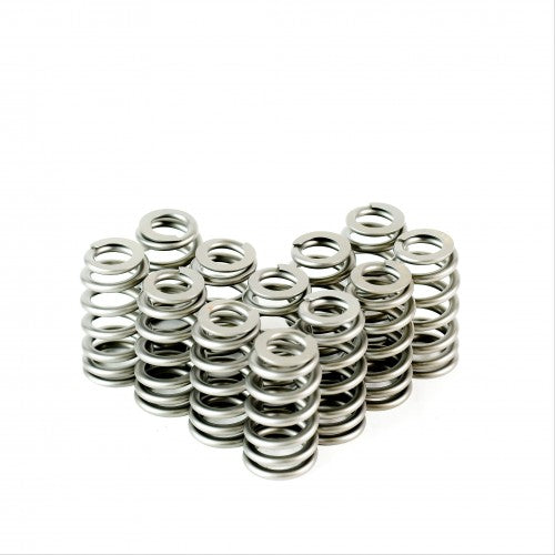 Ecotec Conical Valve Springs - 4919-12 - Ecotec Conical Valve Springs - Set of 12 - 4919-12