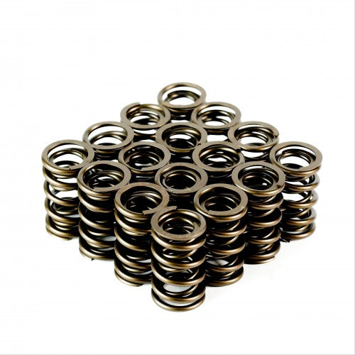 Dual Valve Springs - 7333-16 Dual Race Valve Spring - Set of 16 - 7333-16