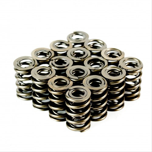 PAC Endurance Dual Spring - Set of 16 - 4920-16