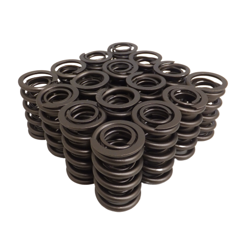 Dual w/ Dampener Valve Springs - Set of 16 - 8937-16