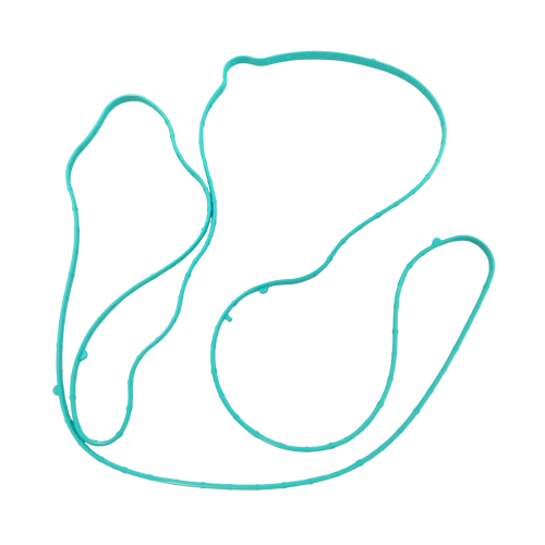 LSA Supercharger Housing Gasket - 12613457