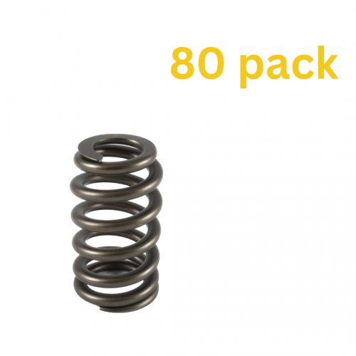 Holden V6 Ecotec Single Valve Springs - Bulk pack of 80 - 4231-80