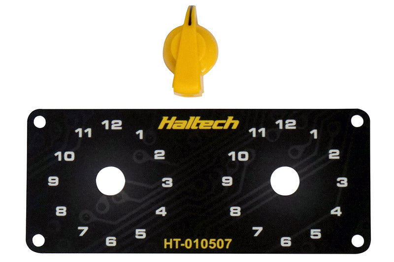 Haltech Dual Switch Panel Only