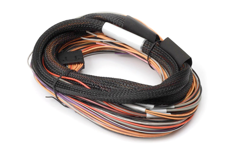Haltech IO 12 Expander - 12 Channel with Flying Lead Harness Kit (CAN ID - Box B)