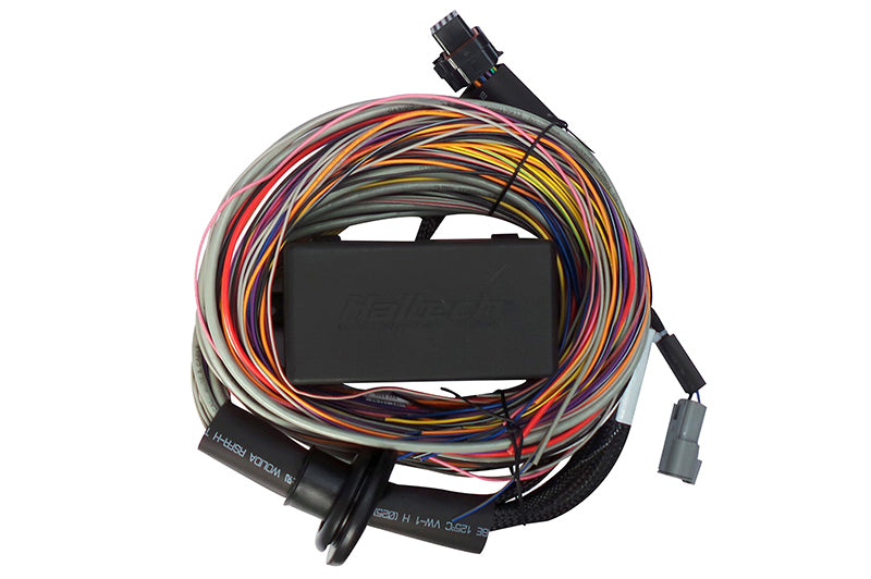 Elite 750 Premium Universal Wire-in Harness