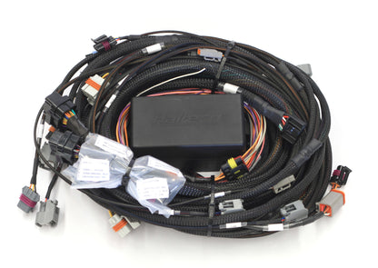 Haltech Elite 2500 GM GEN III LS1 & LS6 (DBW Retrofit Ready) Terminated Harness