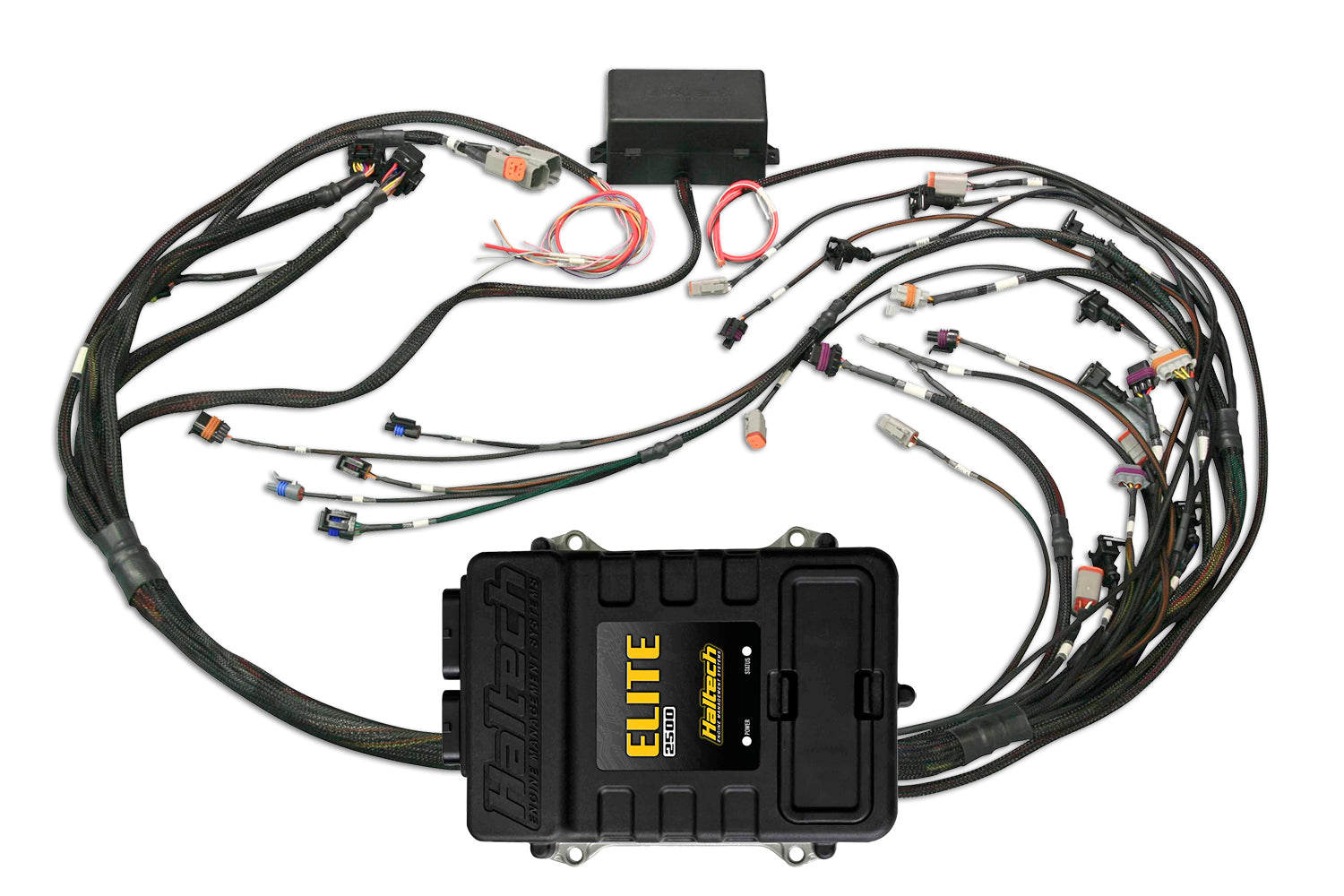 Elite 2500 + GM GEN III LS1 & LS6 non DBW Terminated Harness Kit