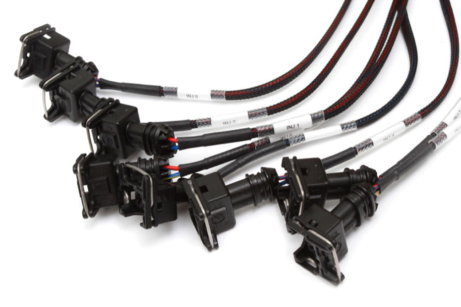 Elite 2500 + GM GEN III LS1 & LS6 non DBW Terminated Harness Kit