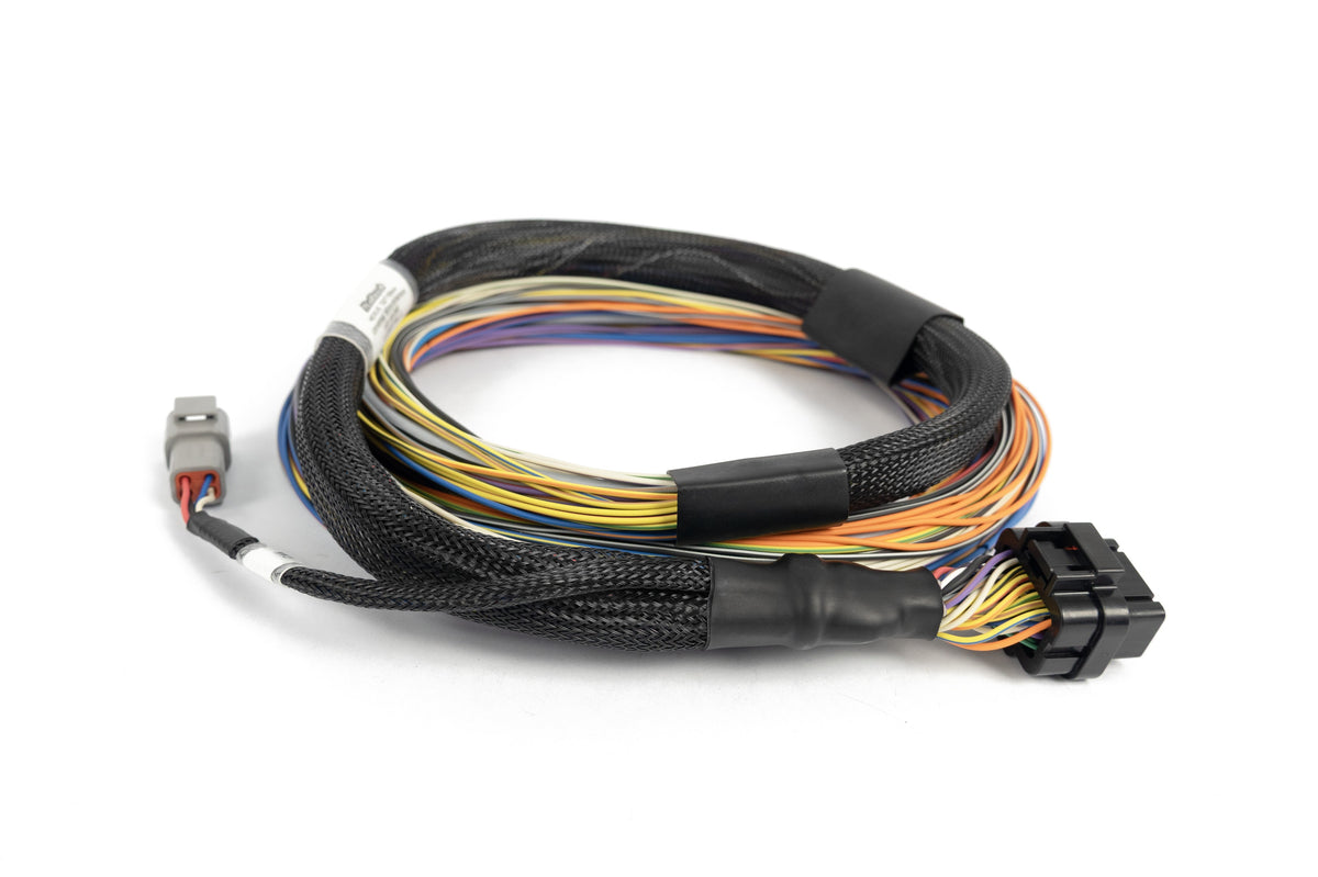 Haltech Nexus T2 T1 Basic Universal Wire-in Harness HT-181200 coiled with ECU connector