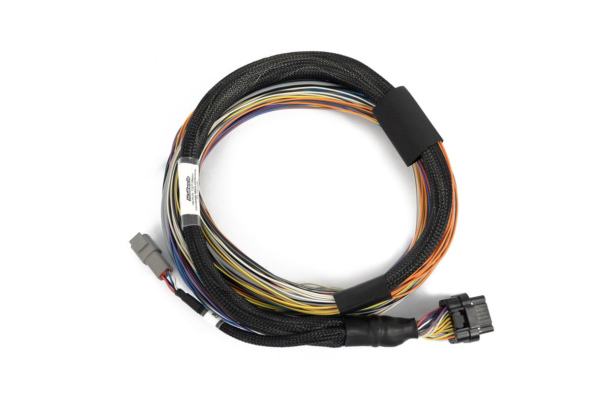 Haltech Nexus T2 T1 Basic harness showing colour coded unterminated wire ends