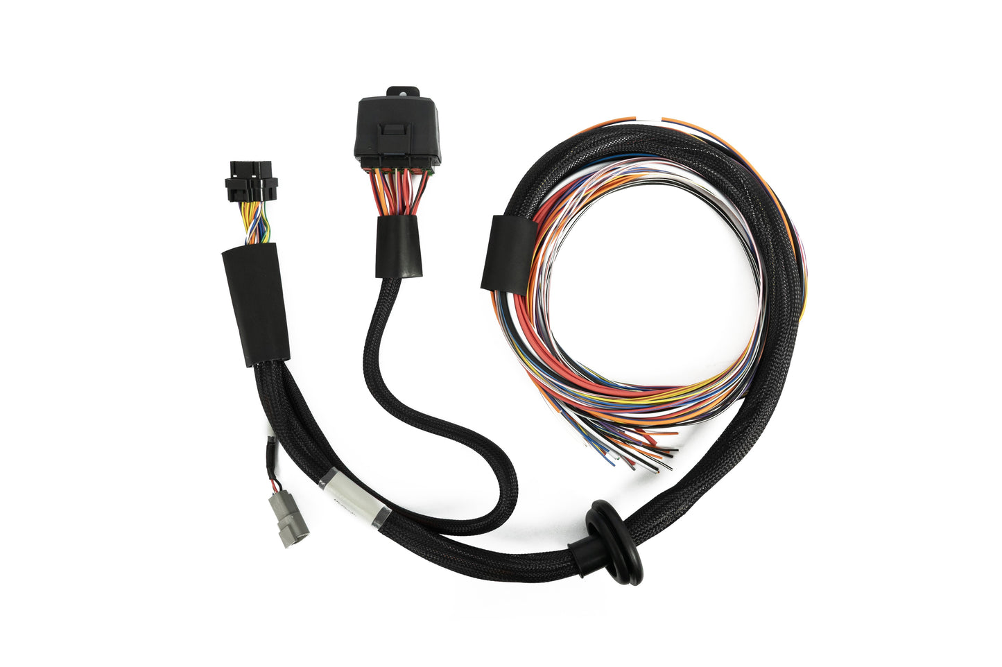 Haltech Nexus T2 T1 Premium harness showing colour coded labelled wires and relay box detail