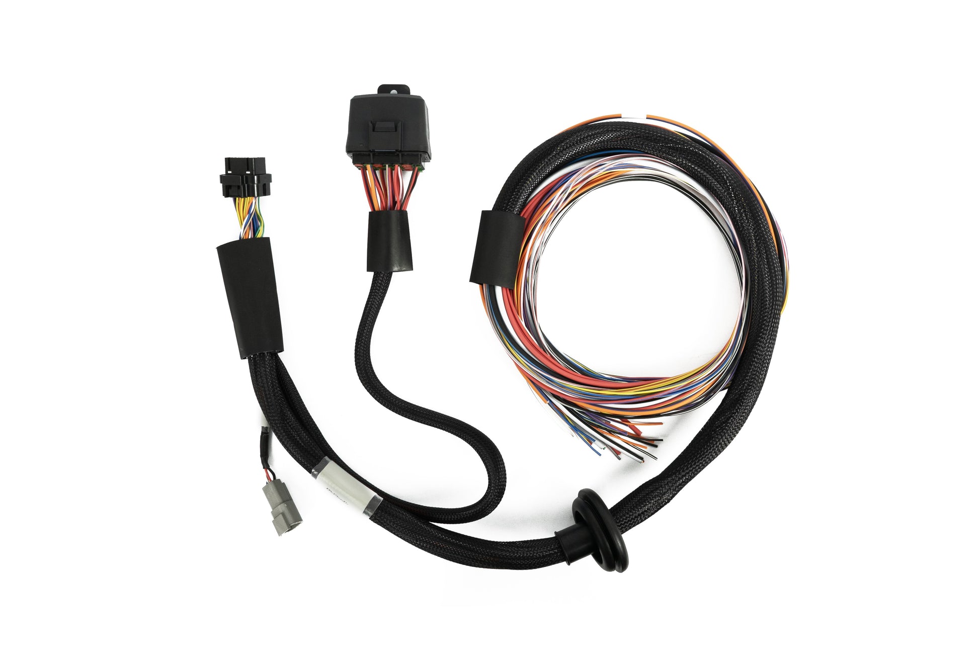 Haltech Nexus T2 T1 Premium harness showing colour coded labelled wires and relay box detail