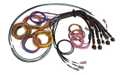 Haltech NEXUS R5 Universal Wire-In Harness 5 Metre Length