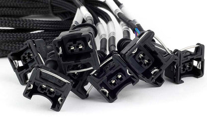 Haltech Nexus Universal V8 - Junior Timer (EV1) Injector Primary Breakout