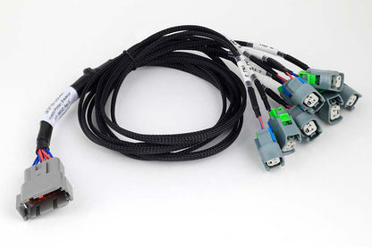Haltech Nexus Universal V8 - GT150 (USCAR) Injector Primary Breakout