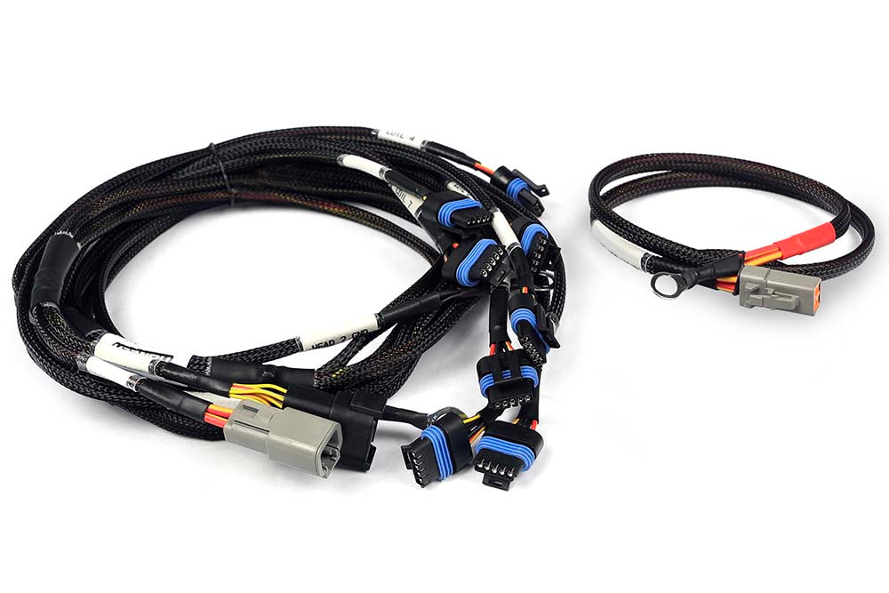 Haltech Nexus Universal V8 - IGN-1A Ford Harness