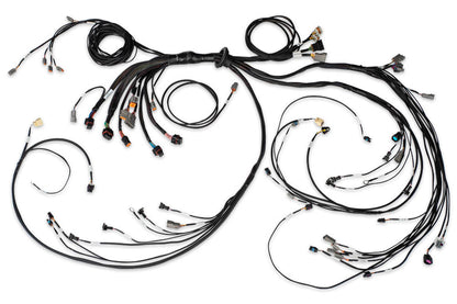 Haltech Nexus R5 + LSx Non DBW Terminated Harness