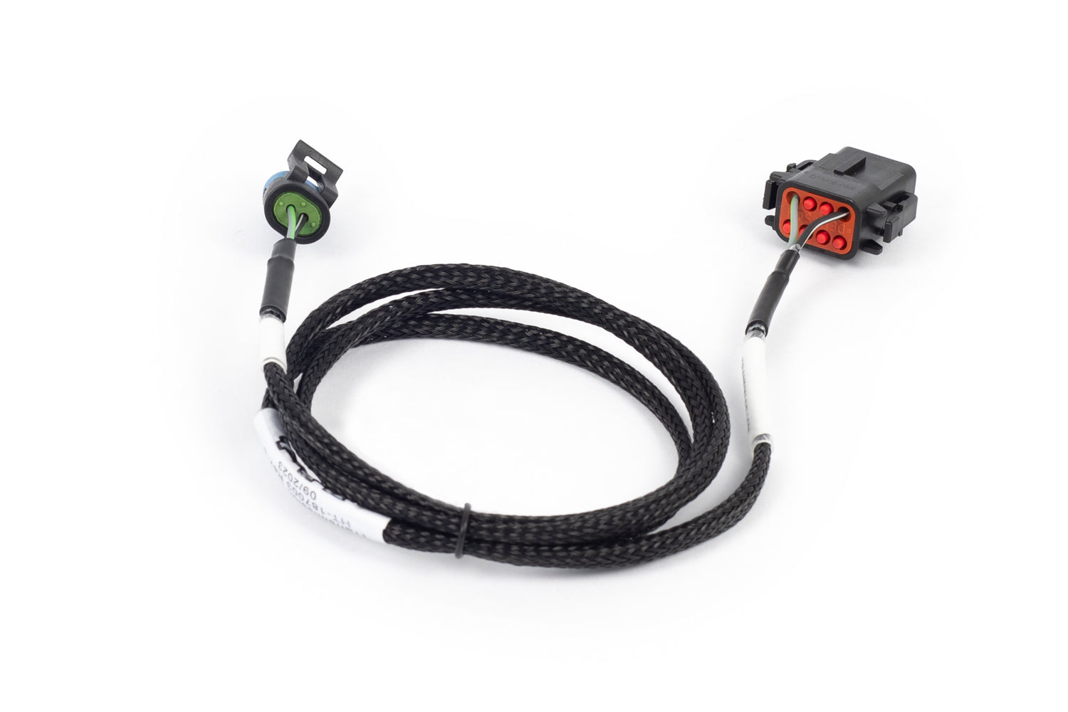 Nexus Rebel LS - T56 Transmission Harness