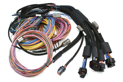 Haltech Nexus R5 + Universal Wire-in Harness Kit 5M/16' kit contents - HT-195201