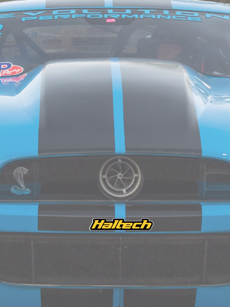 Haltech Logo Colour Sticker