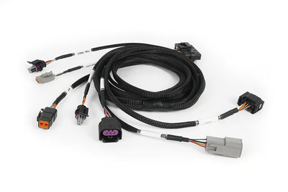 haltech-dbw-expansion-harness-connector-closeup