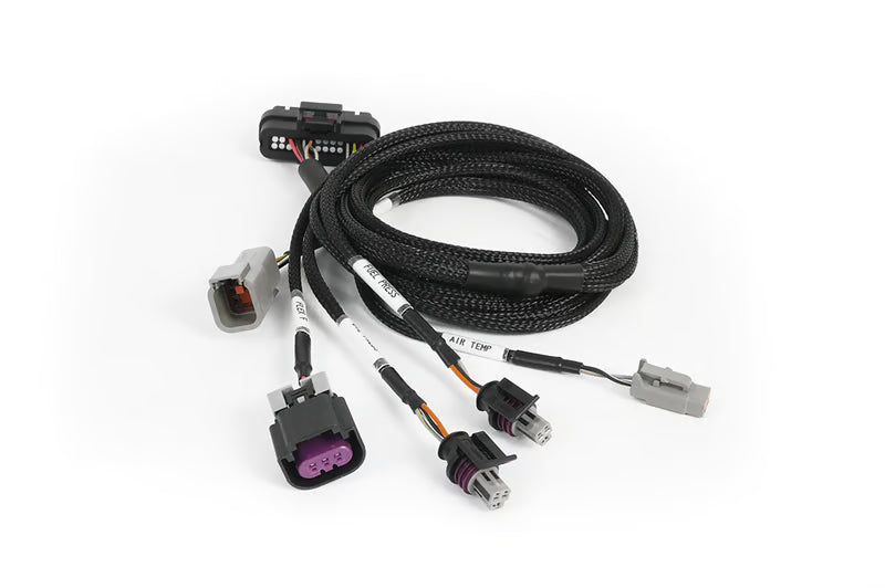 Haltech Nexus Plug-In IO Expansion Harness 2.5m – full cable view