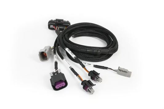 Haltech Nexus Plug-In IO Expansion Harness 2.5m – full cable view