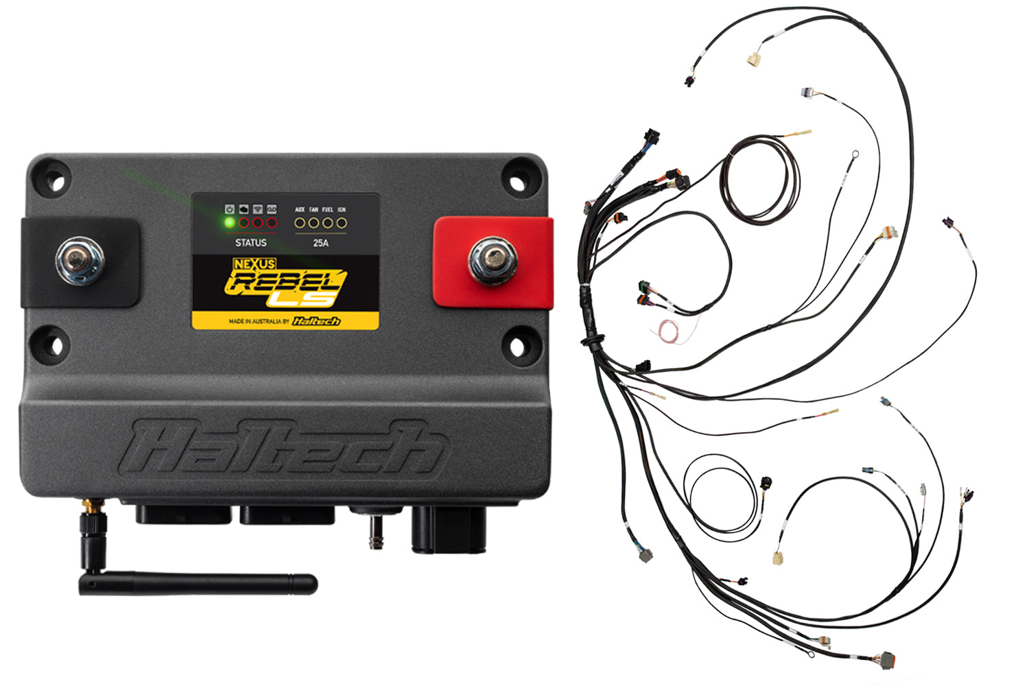 Haltech Nexus REBEL LS Gen 3 ECU – 24x/1x Trigger