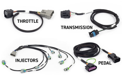 Standalone ECU for Gen 4 LS – Haltech REBEL