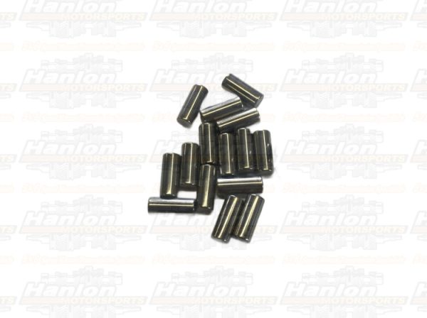 t5 loose needle roller bearings for the input shaft pocket.